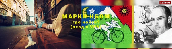 прущие грибы Карталы