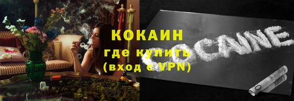 прущие грибы Карталы
