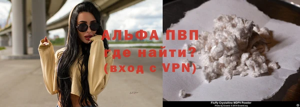 прущие грибы Карталы