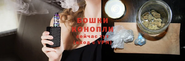 прущие грибы Карталы