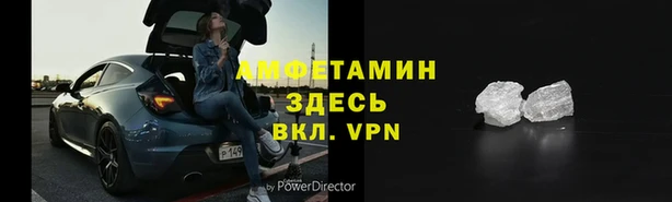 прущие грибы Карталы