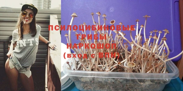 каннабис Каменка