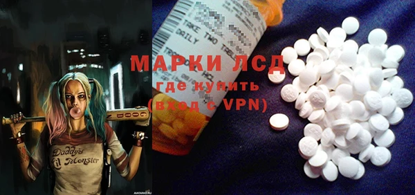 прущие грибы Карталы