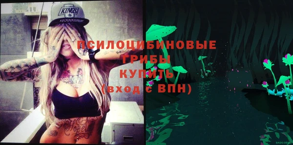 прущие грибы Карталы