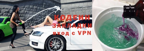 прущие грибы Карталы