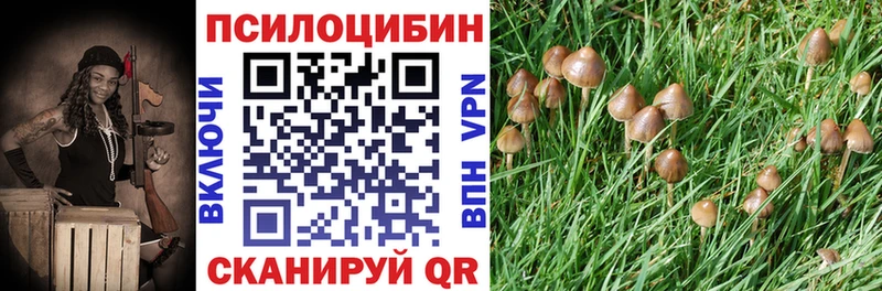 мега маркетплейс  даркнет сайт  Маркс  Галлюциногенные грибы прущие грибы 