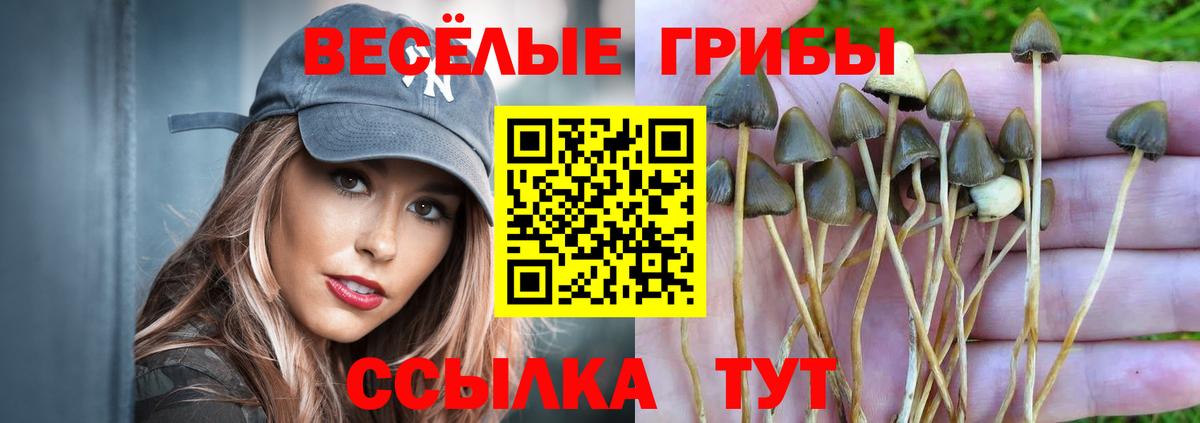 Галлюциногенные грибы ЛСД  Галлюциногенные грибы Cubensis  Вход с VPN  Маркс 